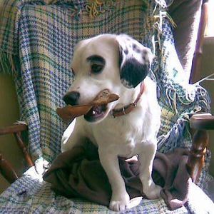 Meet your Posher, Mike